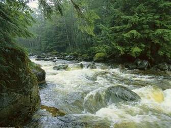 Island Canada Nature Wallpaper Image Featuring Rivers And Streams