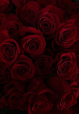 55fa63d41b7249a3f05c9949f0a9ef99 Wallpaper