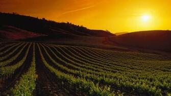 Pin Napa Valley Tourist Map See Details From Urbancsuohioedu On