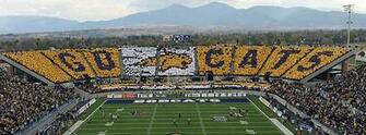 Bobcat Stadium Is On To Connect With Sign Up