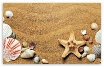 Summer Background HD Desktop Wallpaper Widescreen High Definition