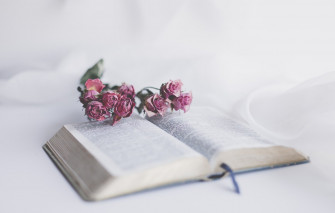 Wallpaper Flower Christian God Book Bible Jesus Holy