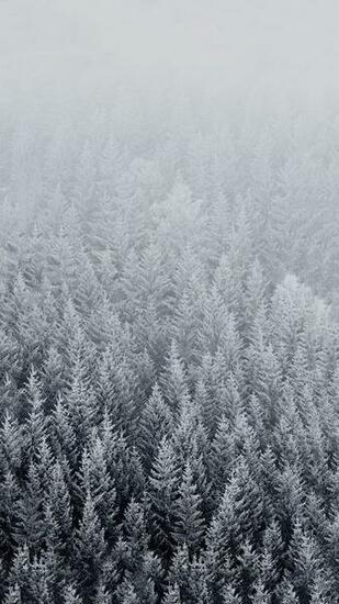 HD Winter Background For iPhone Azrak In