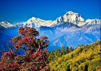 Himalayas Wallpaper