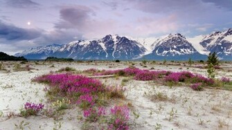 Moonrise Background Desktop Alaska Background Elias Mountains