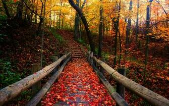 September This Is The Way To Make Pumpkin Spice