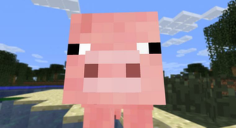 Minecraft Pig Face Wallpaper Image Pictures Becuo