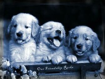 Cute Friendship Wallpaper Image Kid And