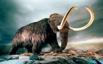 Mammut World Of Animals From The Past HD Wallpaper Wallpaper13