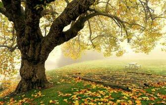 And Screensavers Landscapes Lg Wallpaper To Your Cell Phone