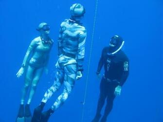 Diving Wikipedia The Encyclopedia HD Wallpaper