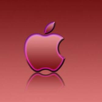 Hot Pink Wallpaper For iPhone Apple iPad