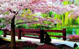 Spring Desktop Wallpaper Toptenpack