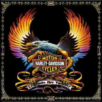 Harley Davidson Image Graphic Code