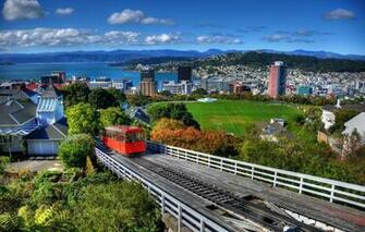 Wallpaper Forest Mountains The City Home New Zealand Panorama