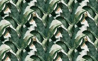 Botany Wallpaper By Lemon