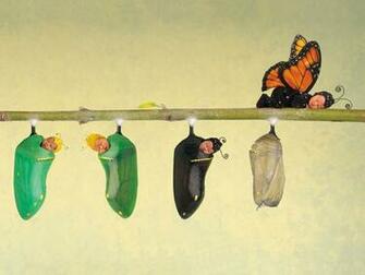 Wallpaper Butterfly Babies Sleeping Beauty Anne