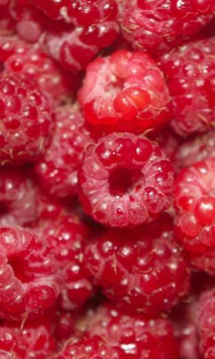 Wallpaper Berry Raspberry Red Damp Htc Samsung