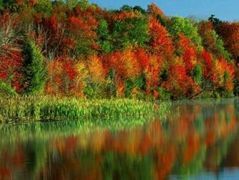 HD Wallpaper Autumn Colorful Trees Desktop Pictures