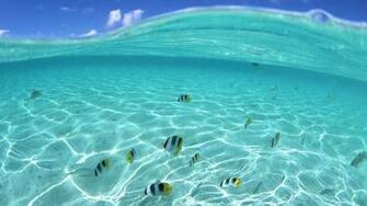 Beautiful Ocean Wallpaper