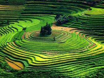 Vietnam Photos National Geographic