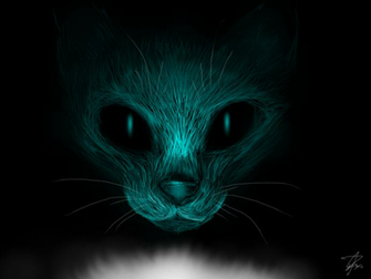Warrior Cats Wallpaper Star Cat By Eliza1star