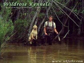 Wildrose Kennels Montly Retriever Wallpaper