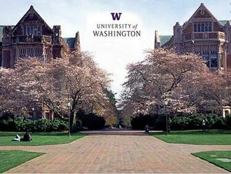University Of Washington Video Conferencing Solutions Avaya