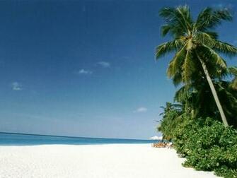 Tropical Beach Wallpaper Desktop