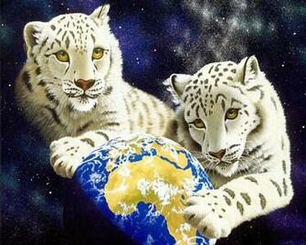 Wallpaper Tiger S White Mature