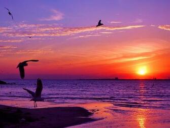 Sunset Sea Wallpaper