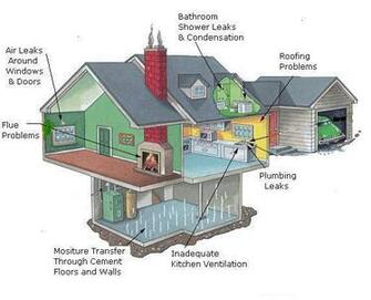 With That Said It Is Also Very Common To Find Black Mold Growing