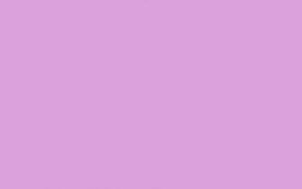 Pale Plum Solid Color Background