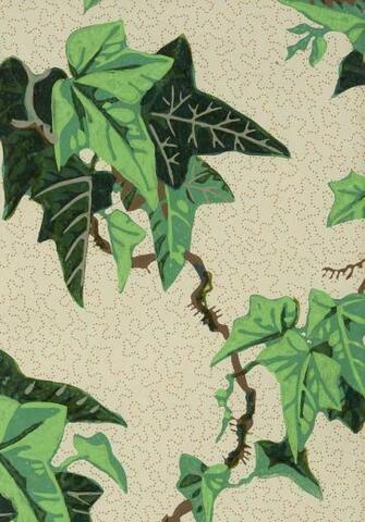 Illustration William Woollams Co Ivy Wallpaper Design