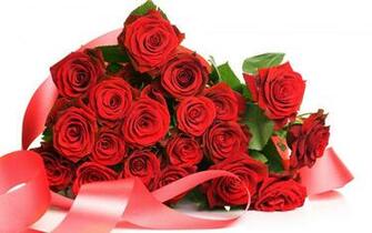 Happy Rose Day HD Wallpaper Imagebank Biz
