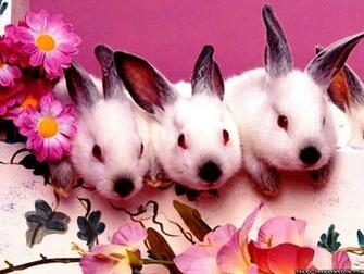 Wallpaper For Our Kids By Best HD And