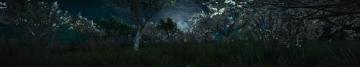 The Witcher Wallpaper On