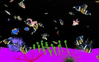 Species Of Fish Demekin Guppy Blue Grass Tang Manta