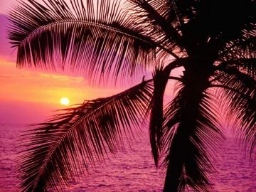HD Girly Wallpaper On