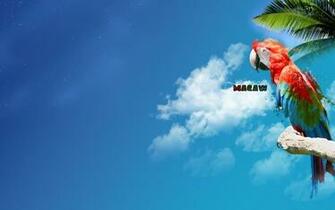 Macaw Wallpaper By Red1221