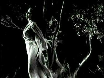 Of Shania Twain From The Platinum Collection