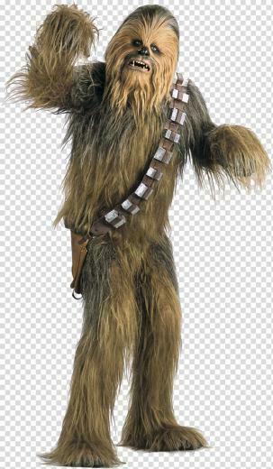 Chewbacca R2 D2 Anakin Skywalker C 3po Auction