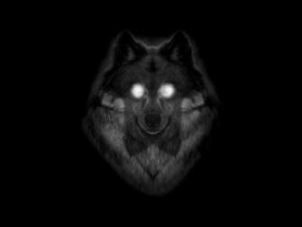 Lupo Lupi Wallpaper