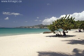 Anse Beach Grenada Landscape Nature HD City Wallpaper