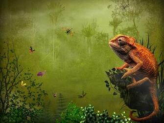 Explore The Collection Reptiles Lizards Lizard