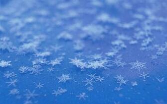The Widescreen Aesthetic Snow And Frost HD Wallpaper
