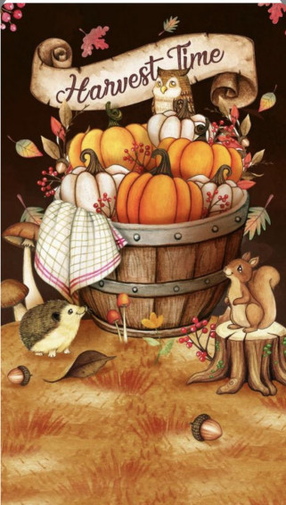 Edith Gressly On Painted Rocks In Cute Fall