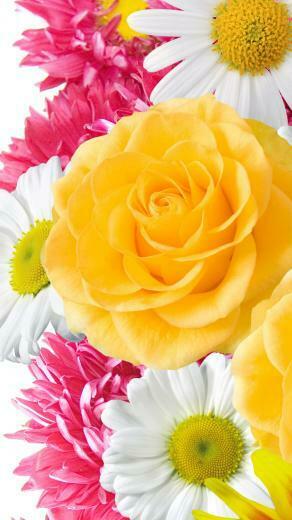 Mobile Wallpaper Flowers For iPhone