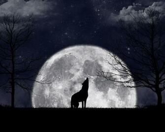 Wolf Howling At The Moon Wallpaper Ing Gallery