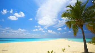 Beach Background Image